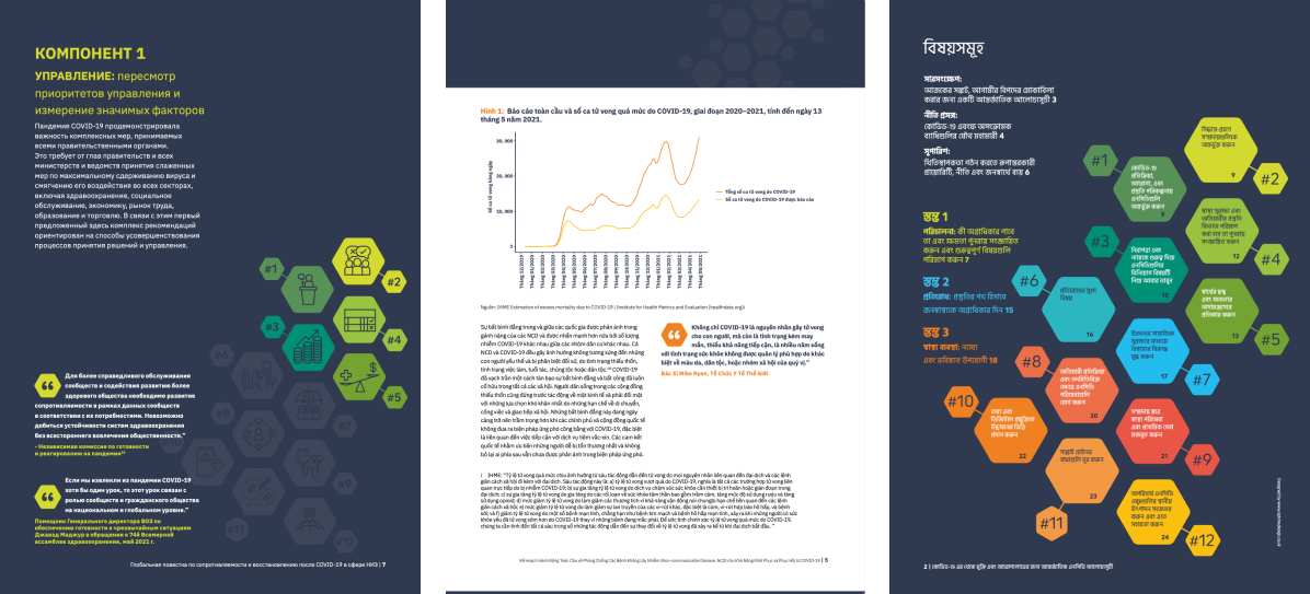 NCD Alliance Resilience & Recovery Report Design | Optima Graphic ...